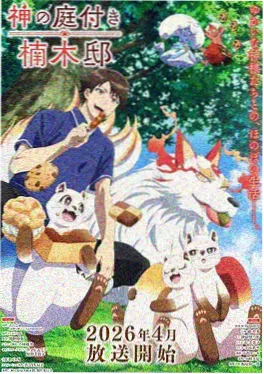 物理魔法使马修